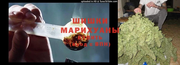тгк Осташков