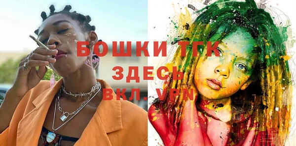 тгк Осташков