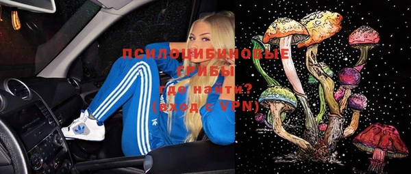 тгк Осташков