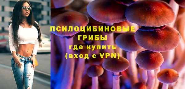 apvp Остров