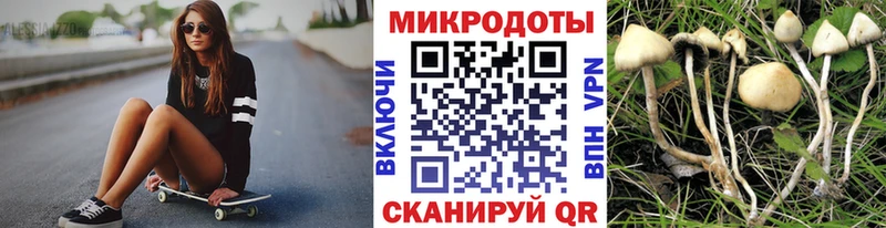 где найти   гидра маркетплейс  Псилоцибиновые грибы Psilocybine cubensis  Янаул 