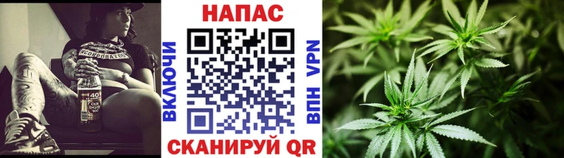 Бошки Шишки сатива Янаул
